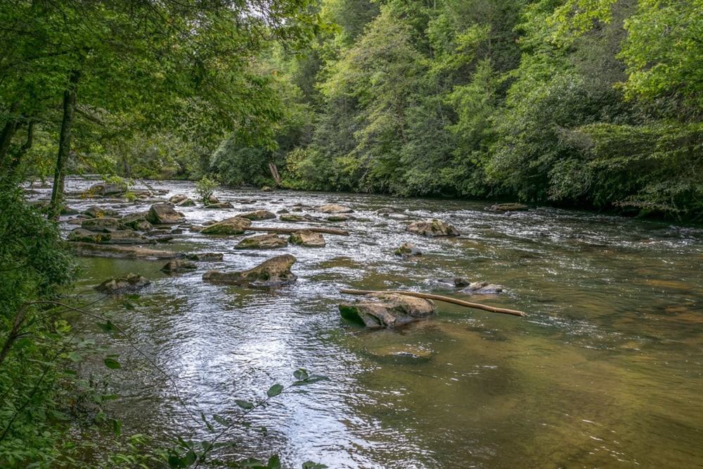 Trinity Waters - thumb 4