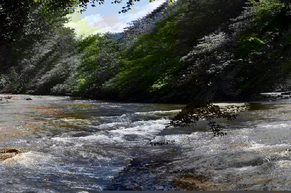 Trinity Waters - thumb 1