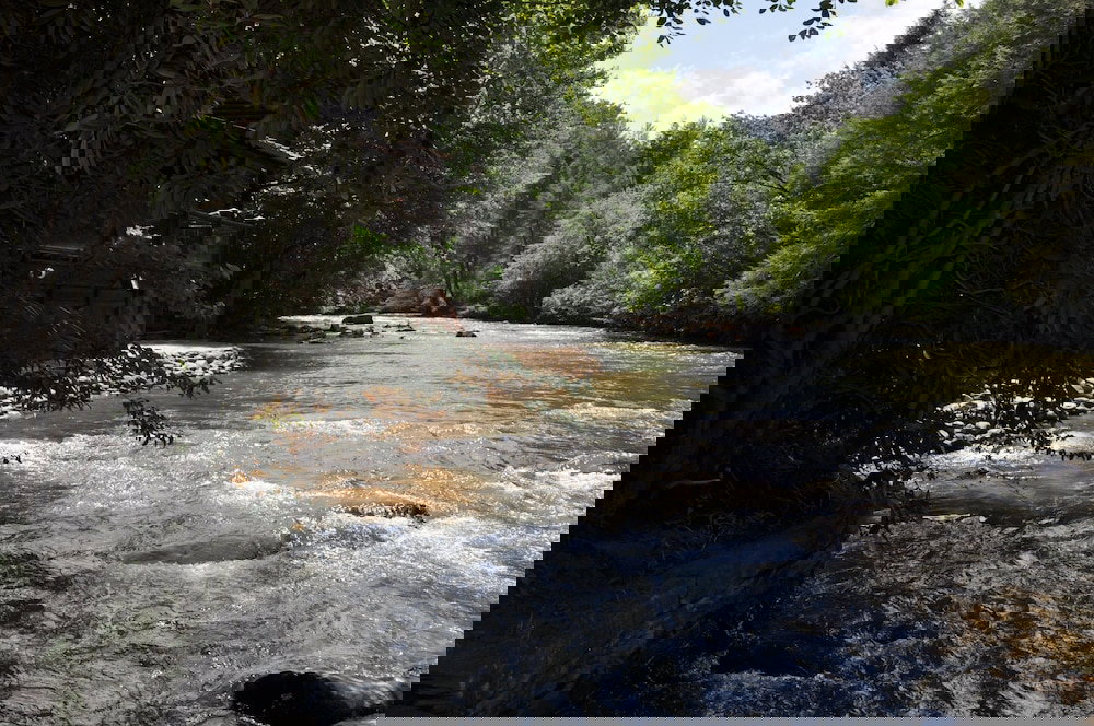 Trinity Waters - thumb 5