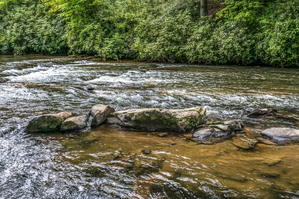 Trinity Waters - thumb 0