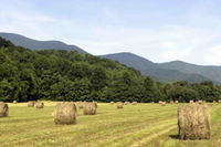 Book Cities Accommodation Vacations, Accommodation Michigan Accommodation Michigan