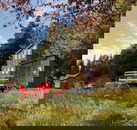 Clydesdale Outpost - Accommodation Michigan