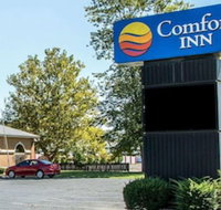 Comfort Inn - Accommodation Michigan