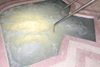 New Concord Inn  Suites