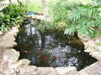 Acorn Bed  Breakfast