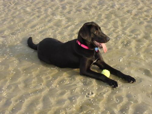 368 Wahoo Four Bedroom House - thumb 4