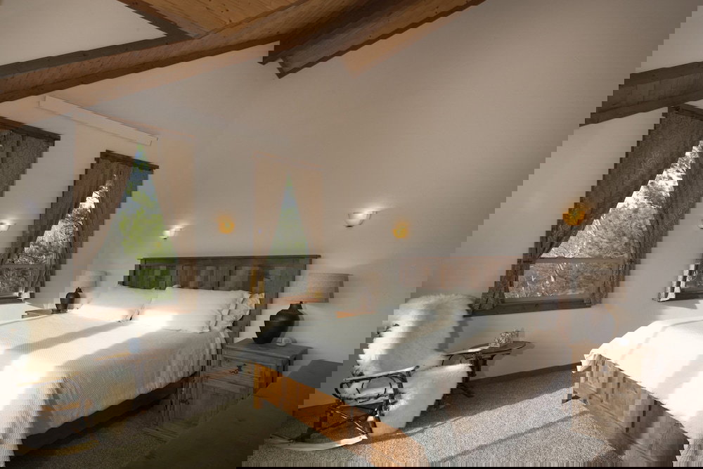 Alpine Recharge - thumb 6