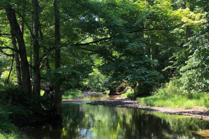 Tentrr Mini Yosemite In The Hudson Valley - thumb 4