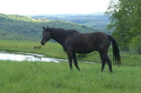 Book Cities Accommodation Vacations, Accommodation Michigan Accommodation Michigan