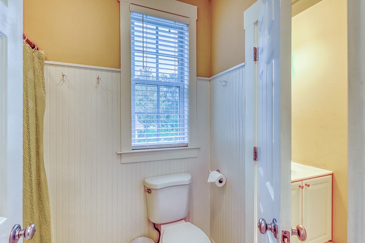 Tybee Island Sandpiper - thumb 39