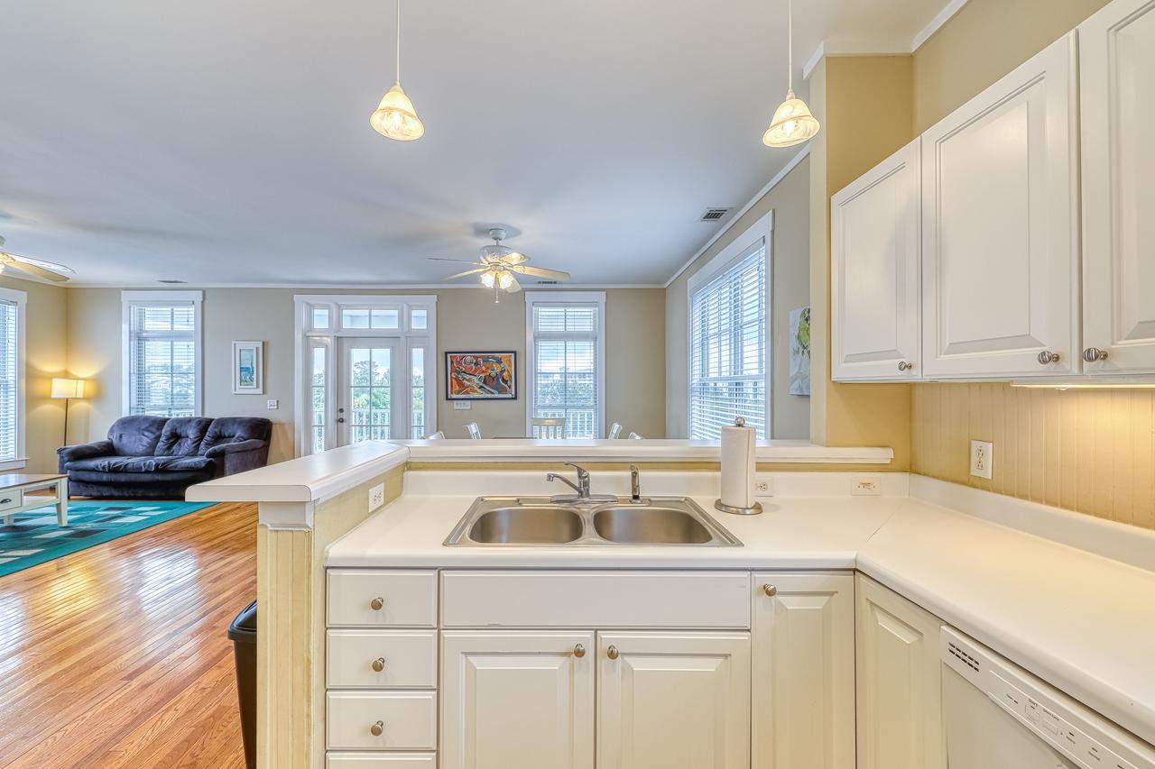 Tybee Island Sandpiper - thumb 20