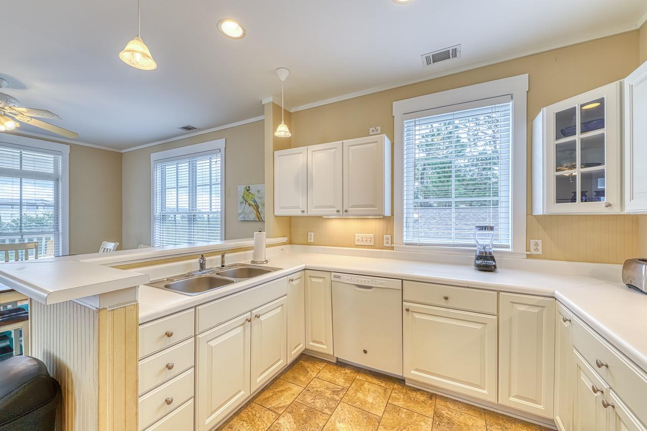 Tybee Island Sandpiper - thumb 19