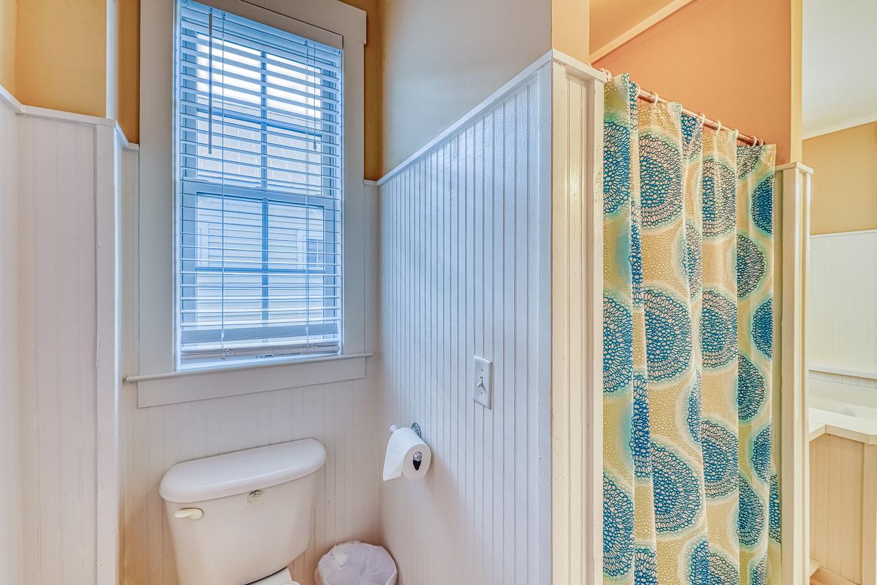 Tybee Island Sandpiper - thumb 34