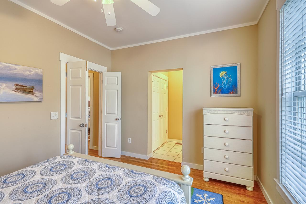 Tybee Island Sandpiper - thumb 43