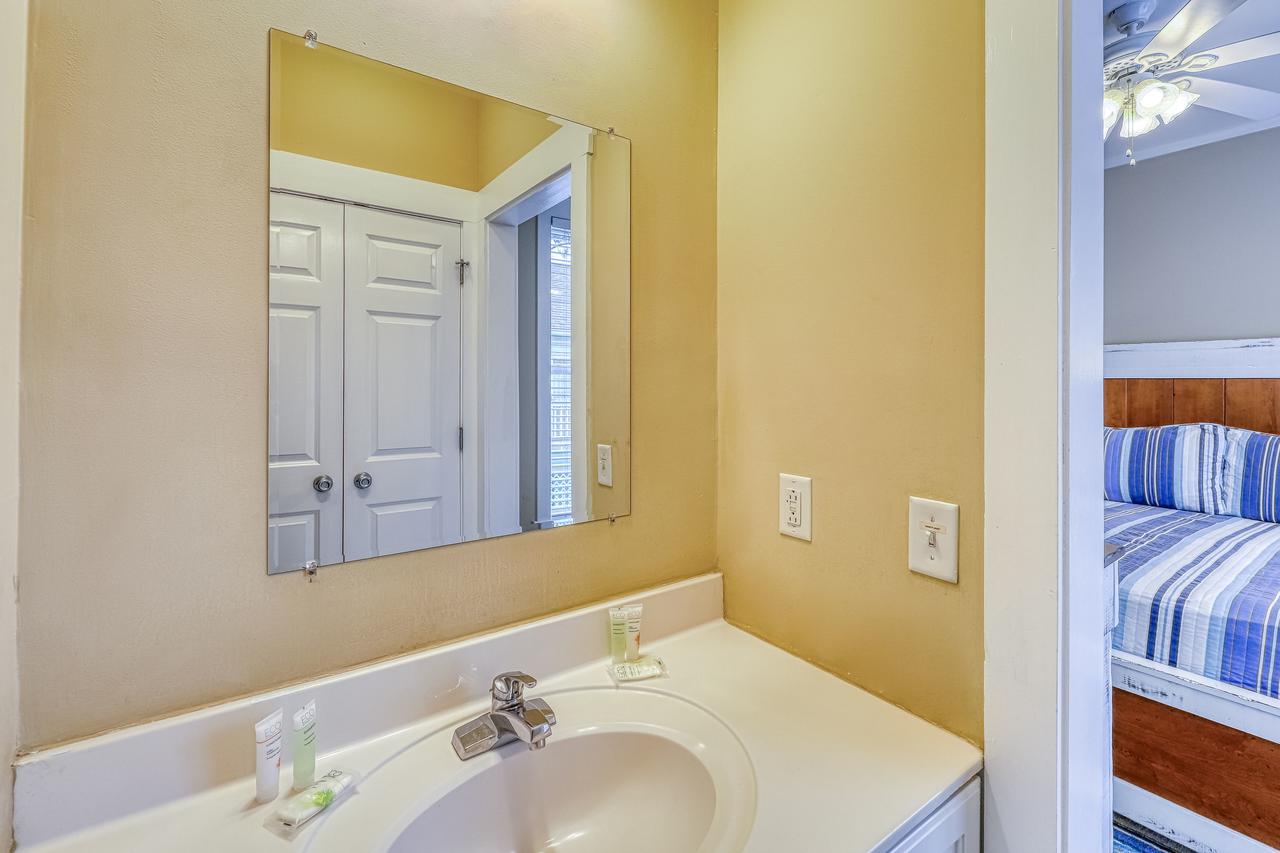 Tybee Island Sandpiper - thumb 38