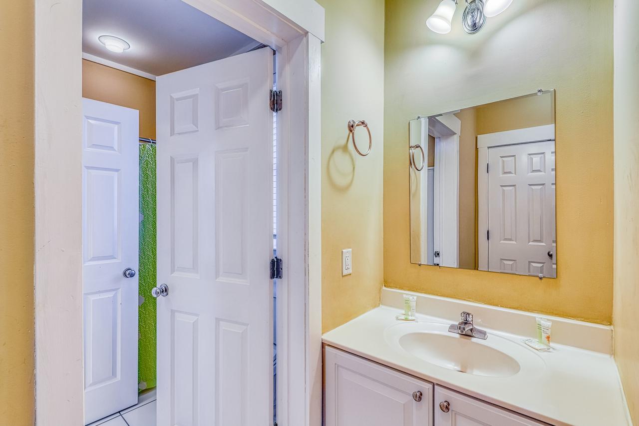 Tybee Island Sandpiper - thumb 40