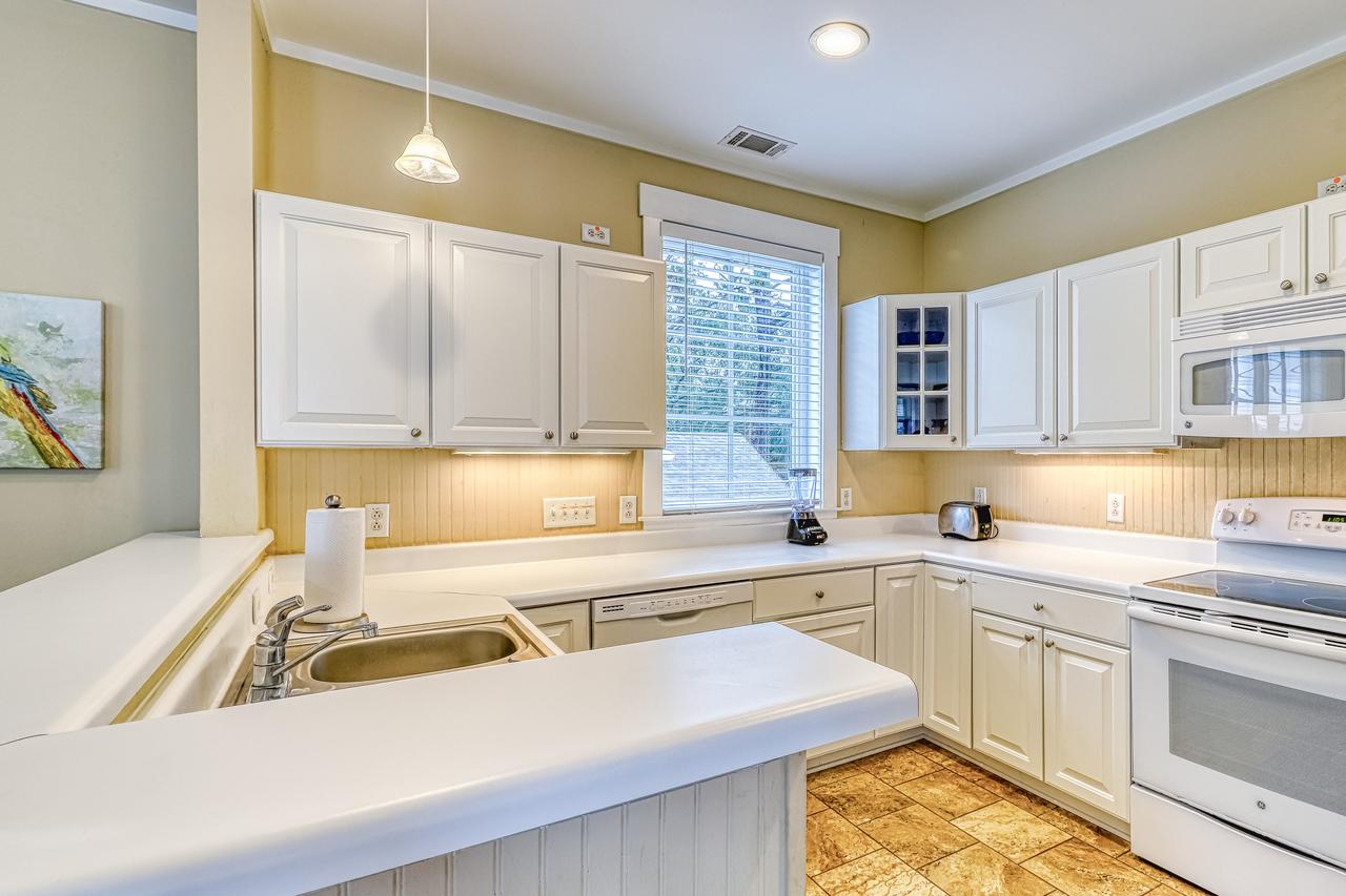 Tybee Island Sandpiper - thumb 18