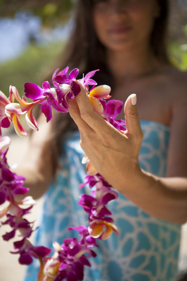 Turtle Bay Resort - thumb 30