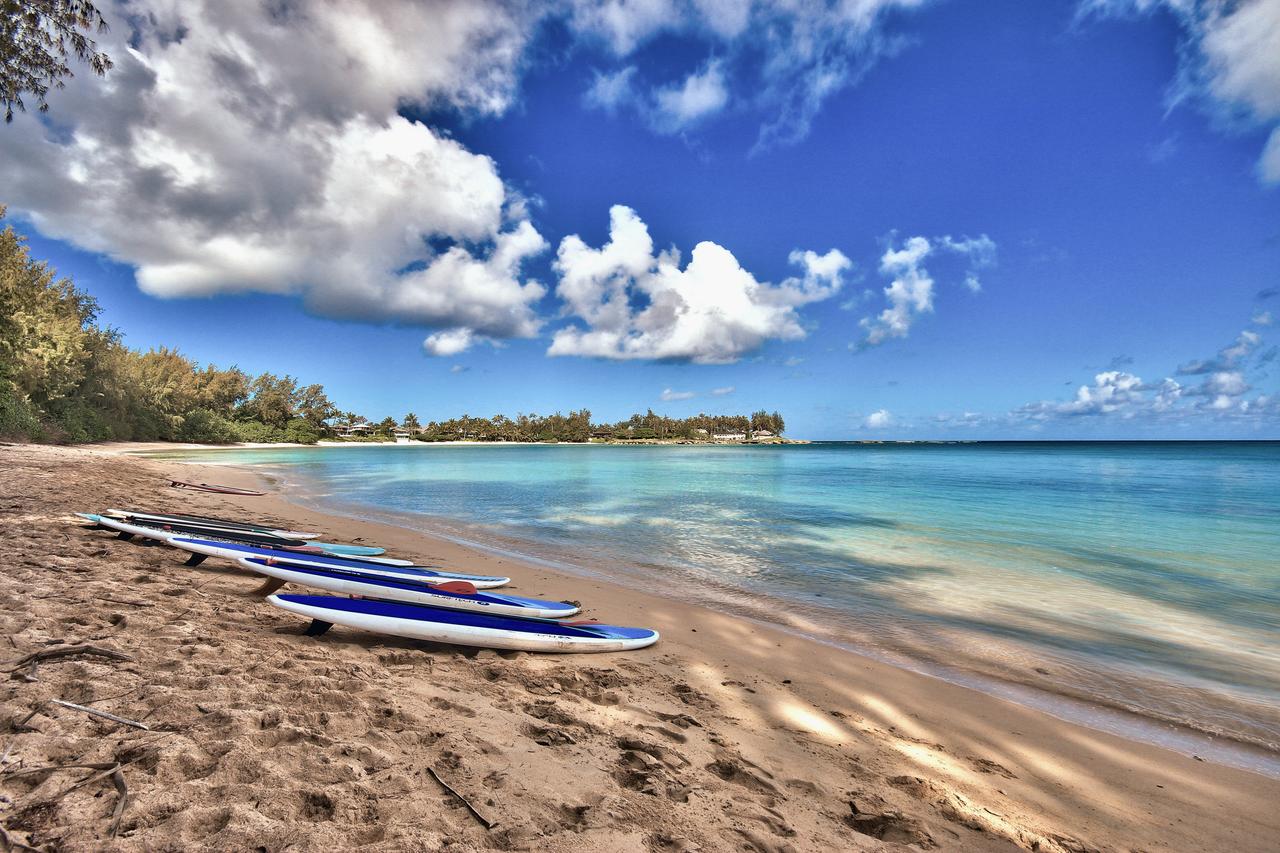 Turtle Bay Resort - thumb 39