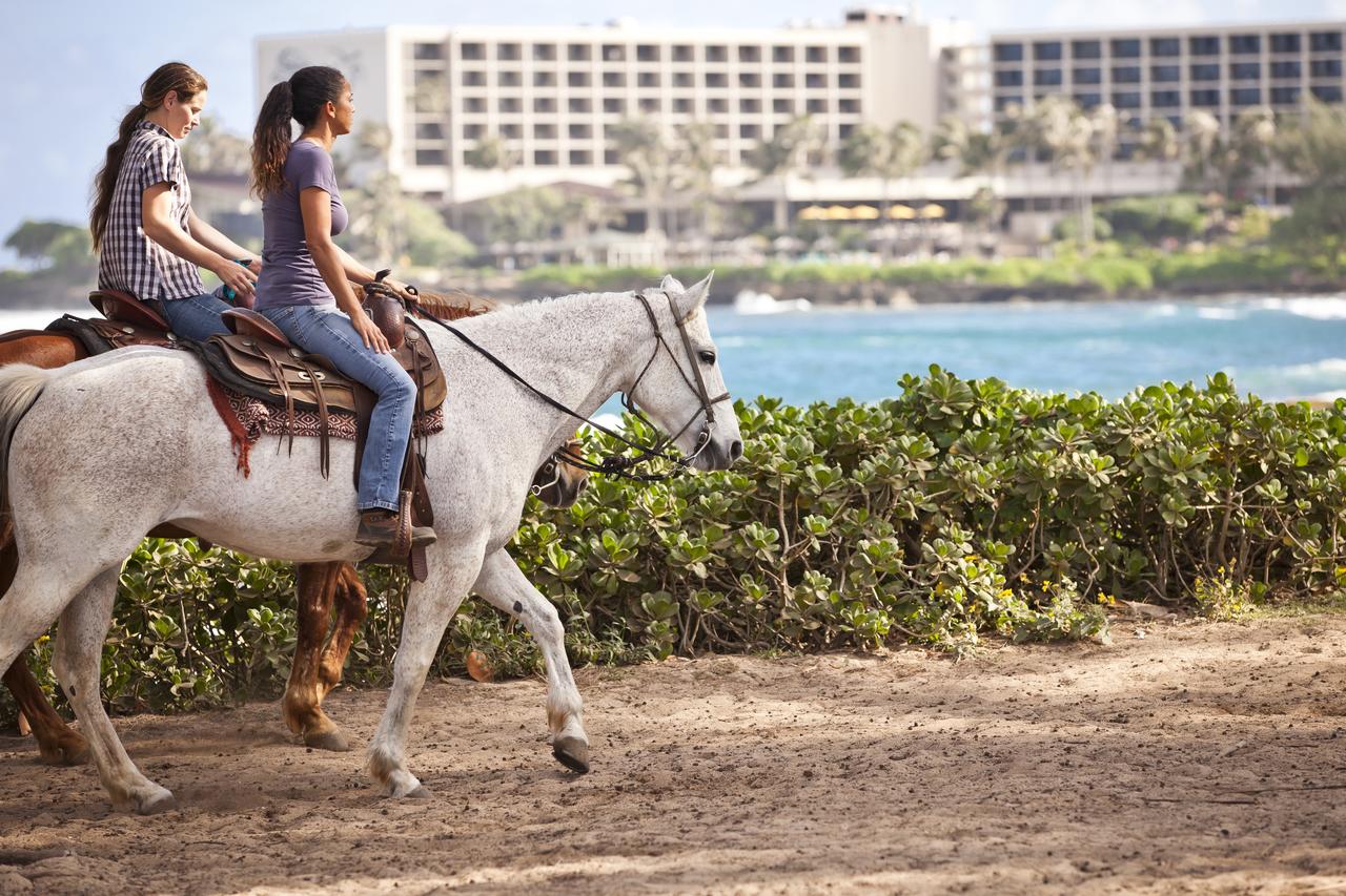 Turtle Bay Resort - thumb 24