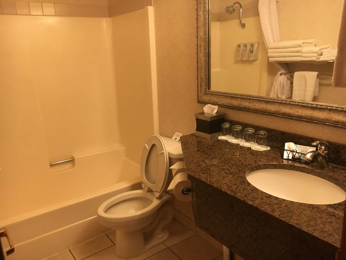 Best Western RiverTree Inn - thumb 5