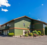 Best Western RiverTree Inn - Accommodation Michigan