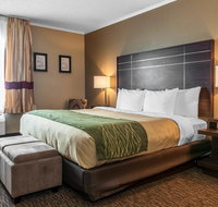 Comfort Inn Fort Wayne - Accommodation Michigan