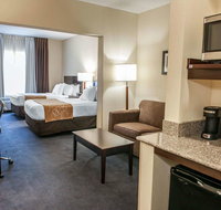 Comfort Suites South - Accommodation Michigan