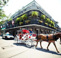 Hotel Royal New Orleans - Accommodation Michigan