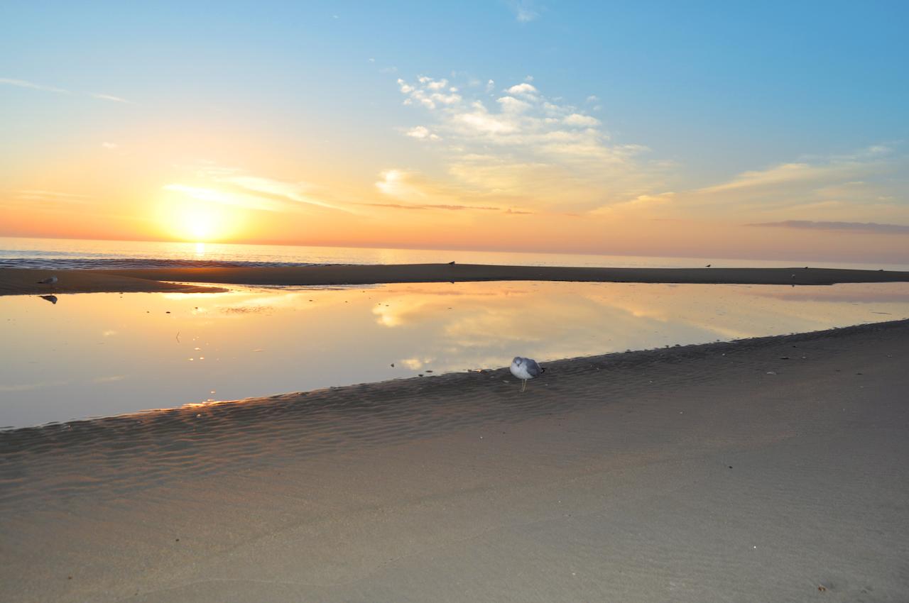 Crystal Beach Hotel - thumb 22