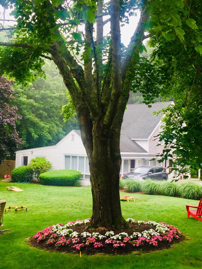 Sesuit Harbor House - thumb 4