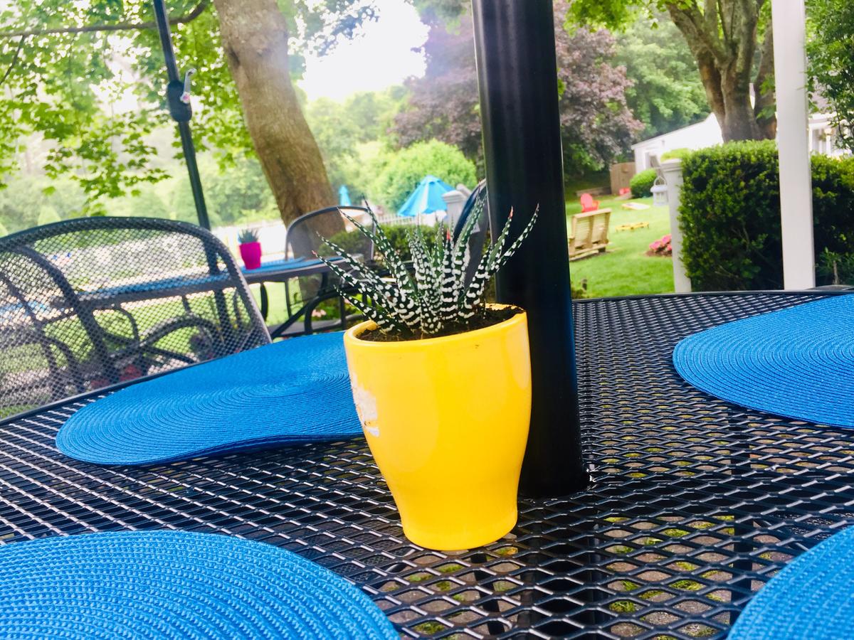 Sesuit Harbor House - thumb 5