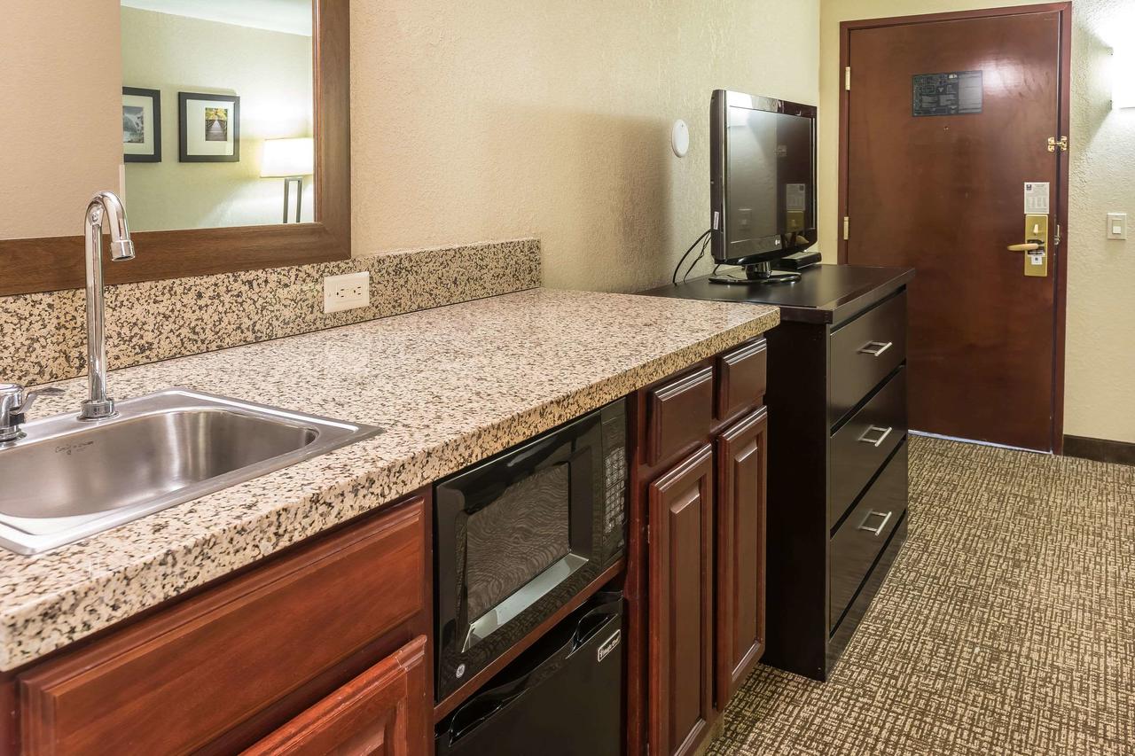 Comfort Inn & Suites Allen Park/Dearborn - thumb 24