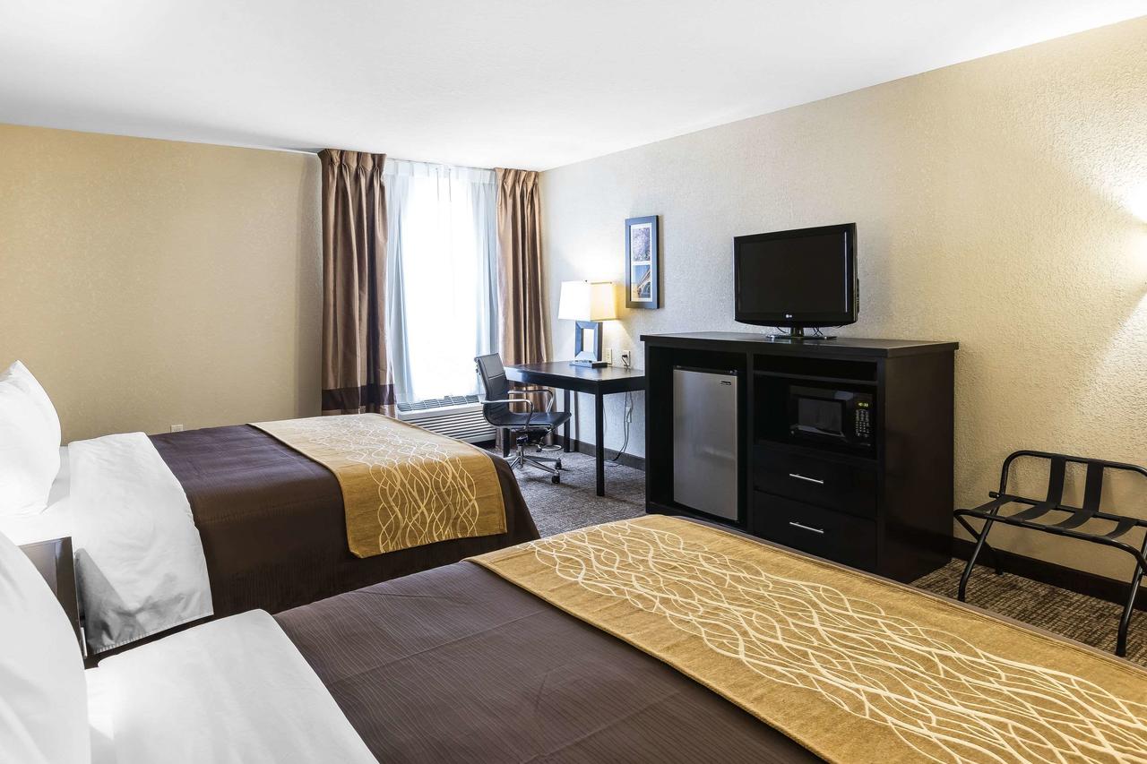 Comfort Inn & Suites Allen Park/Dearborn - thumb 27