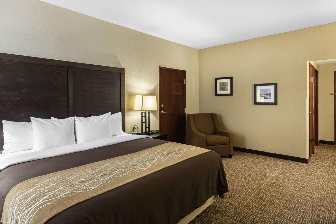 Comfort Inn & Suites Allen Park/Dearborn - thumb 17