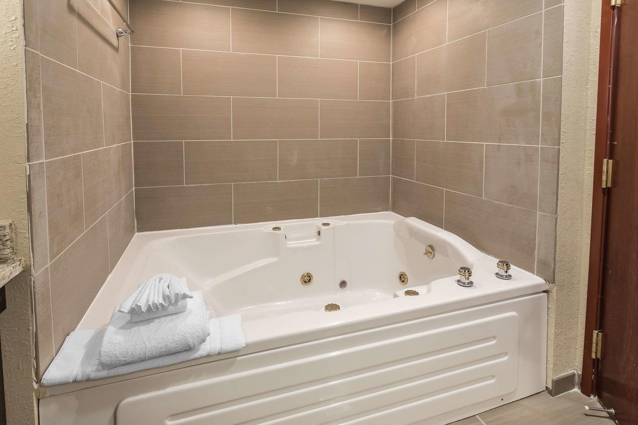 Comfort Inn & Suites Allen Park/Dearborn - thumb 22