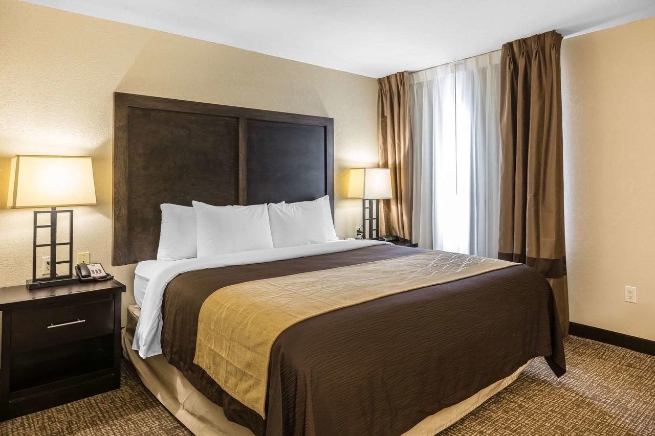 Comfort Inn & Suites Allen Park/Dearborn - thumb 42