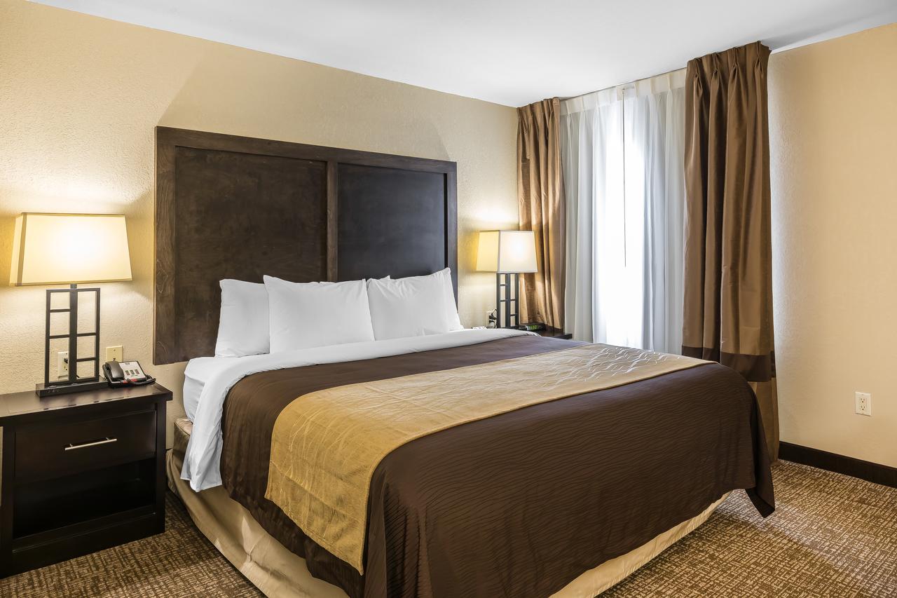 Comfort Inn & Suites Allen Park/Dearborn - thumb 8