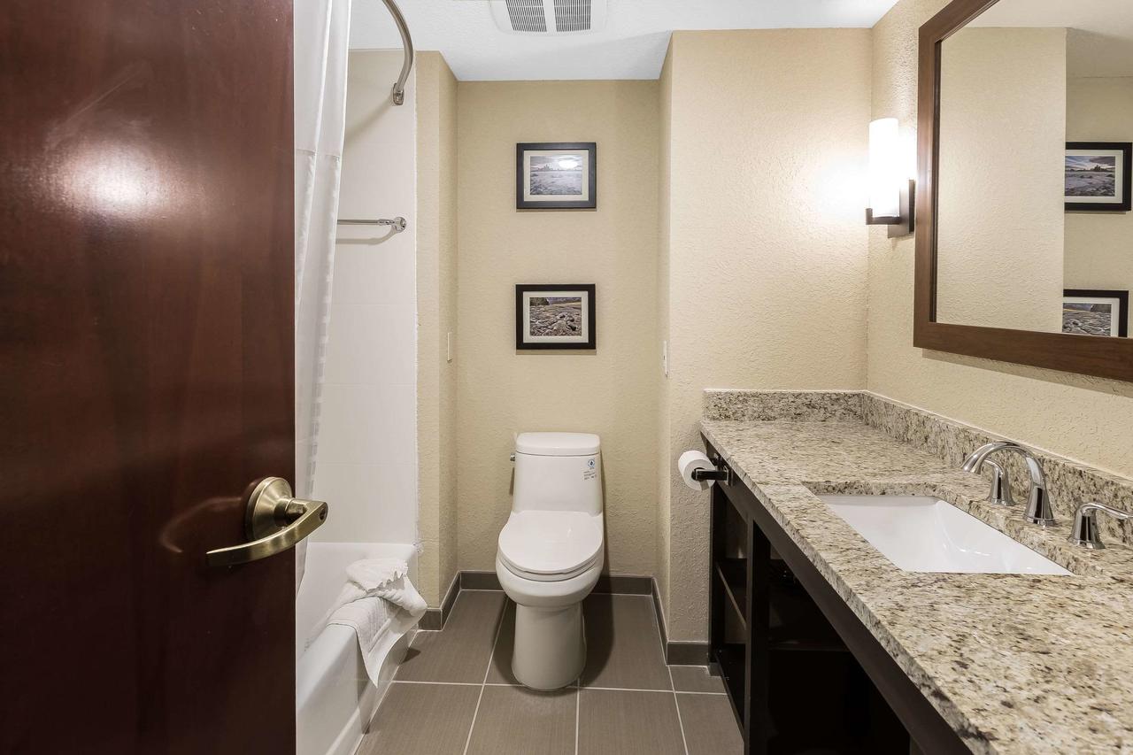 Comfort Inn & Suites Allen Park/Dearborn - thumb 21