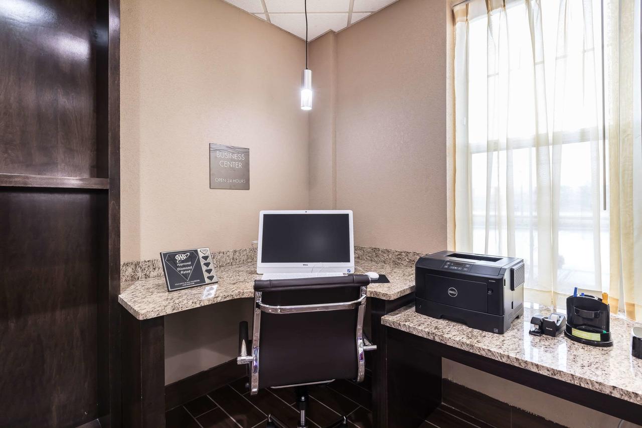 Comfort Inn & Suites Allen Park/Dearborn - thumb 13