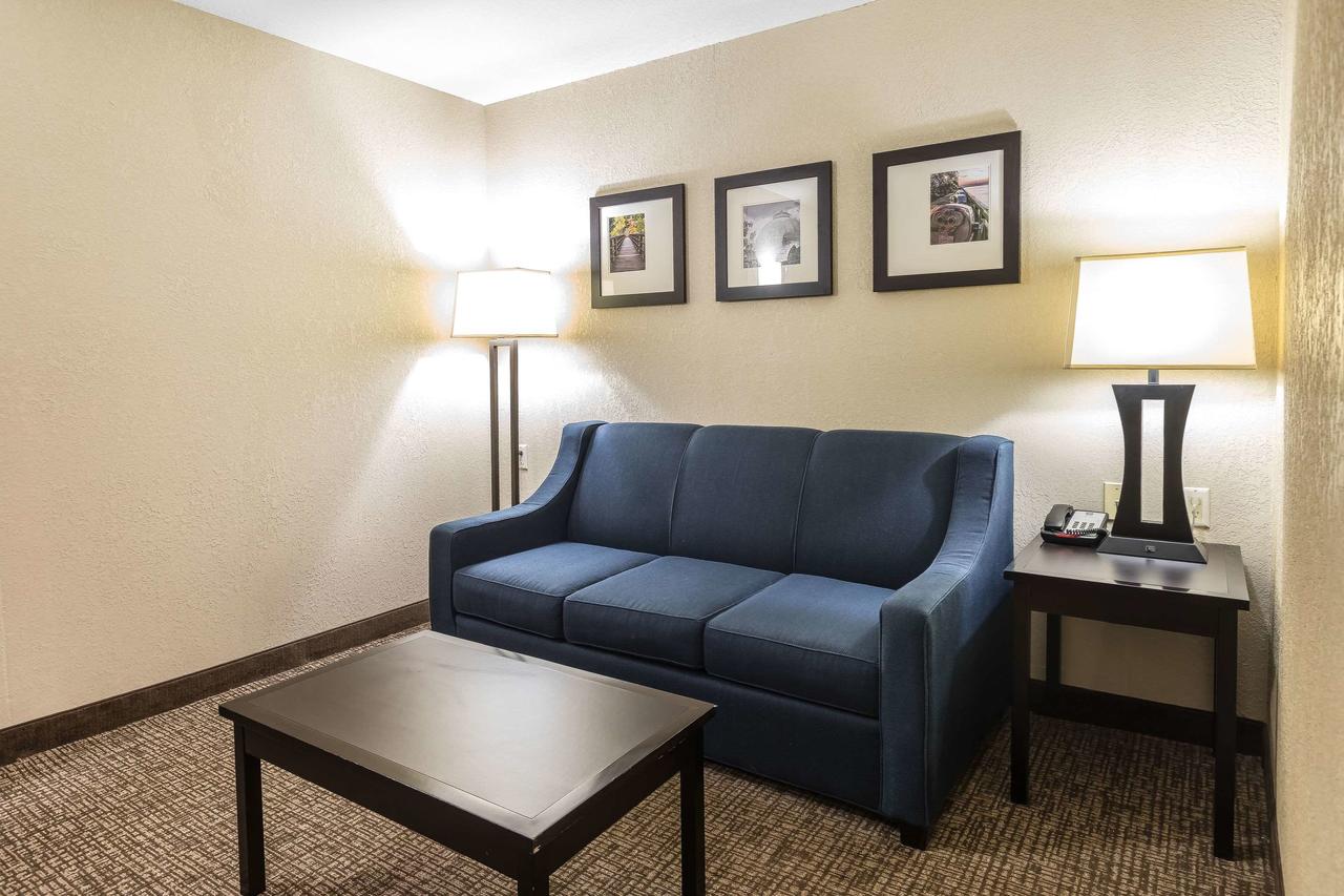 Comfort Inn & Suites Allen Park/Dearborn - thumb 9