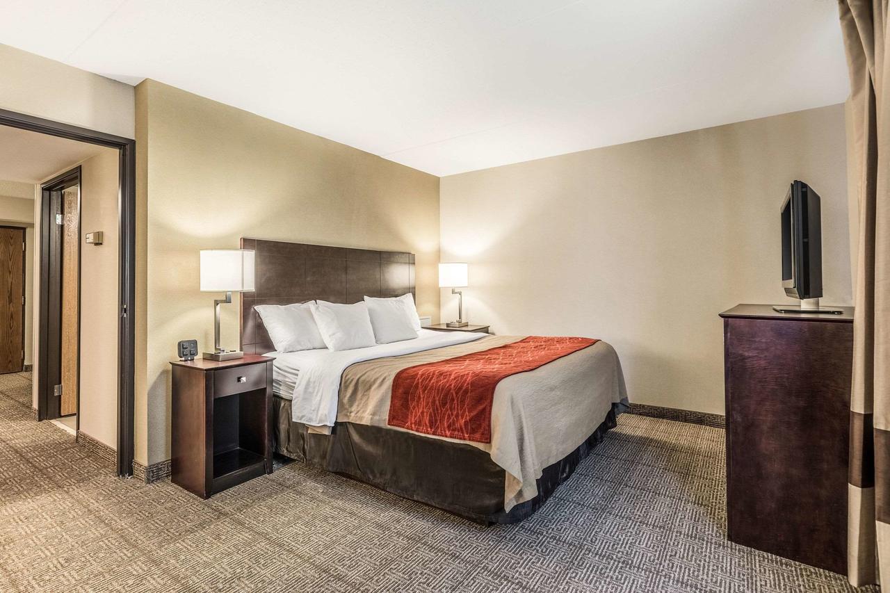 Comfort Inn Lansing - thumb 29