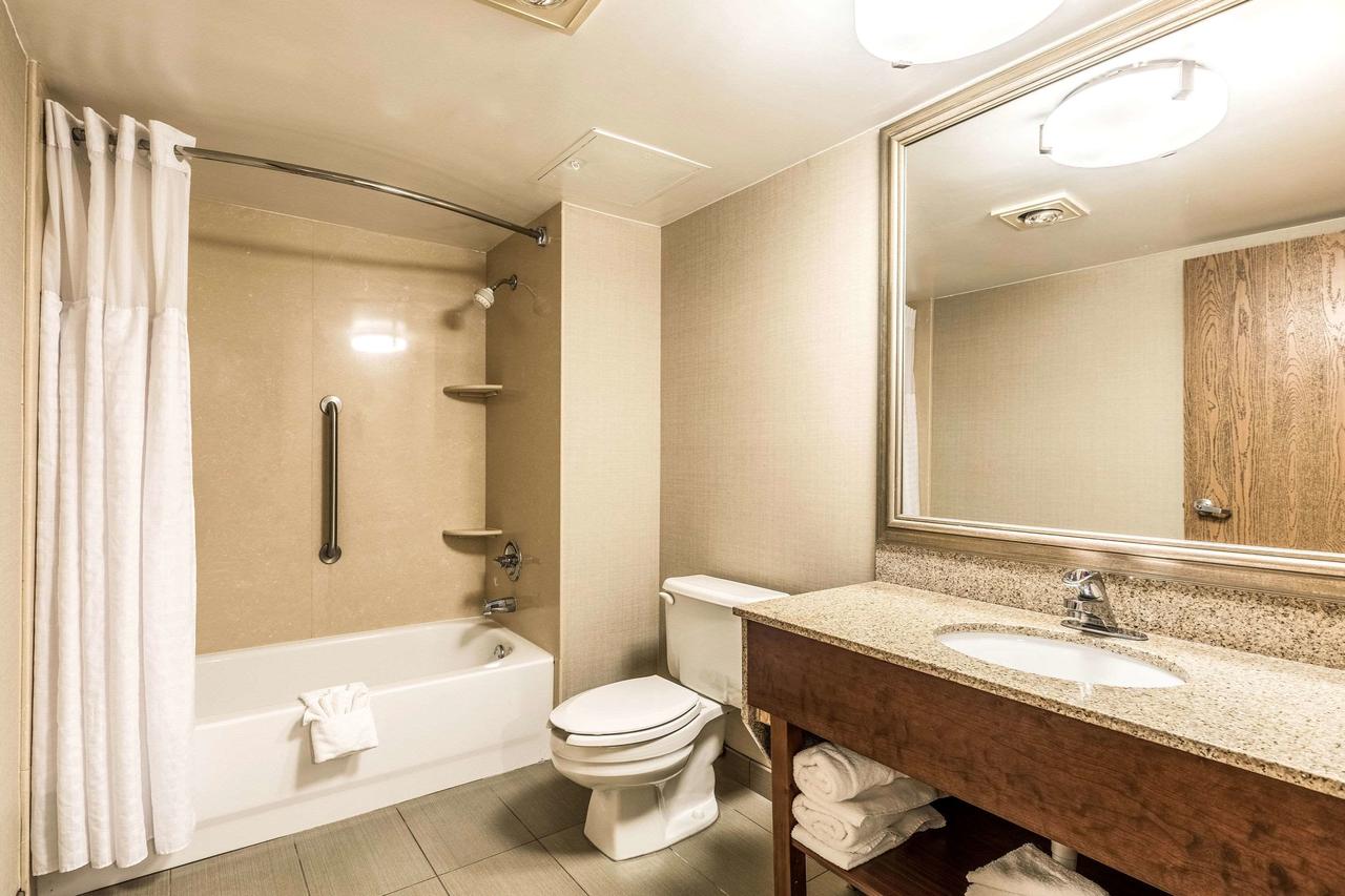 Comfort Inn Lansing - thumb 8