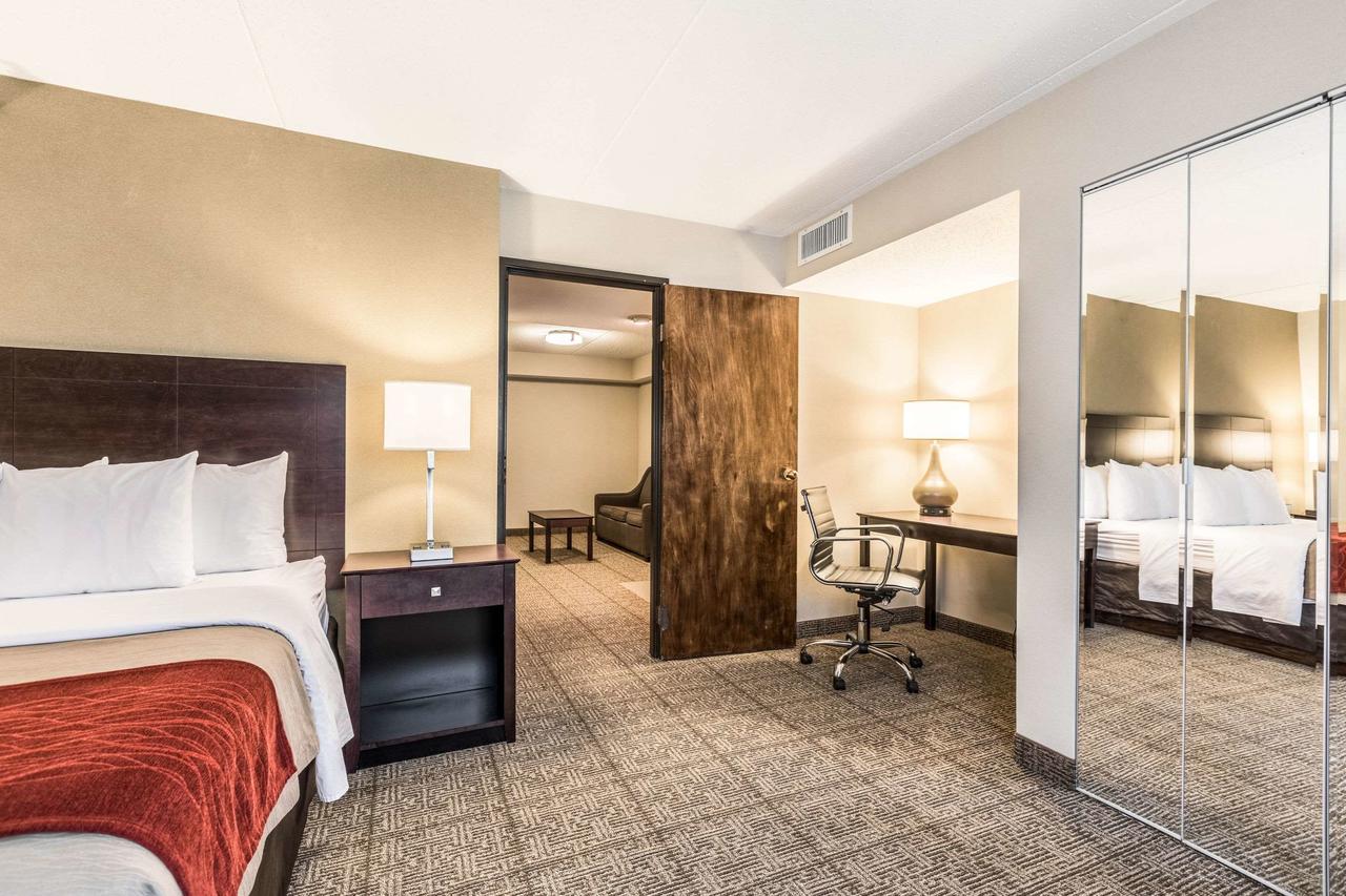 Comfort Inn Lansing - thumb 35