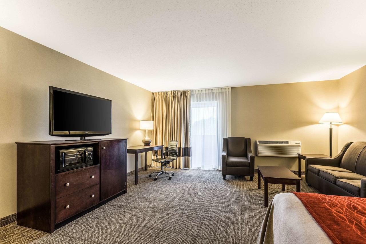 Comfort Inn Lansing - thumb 27