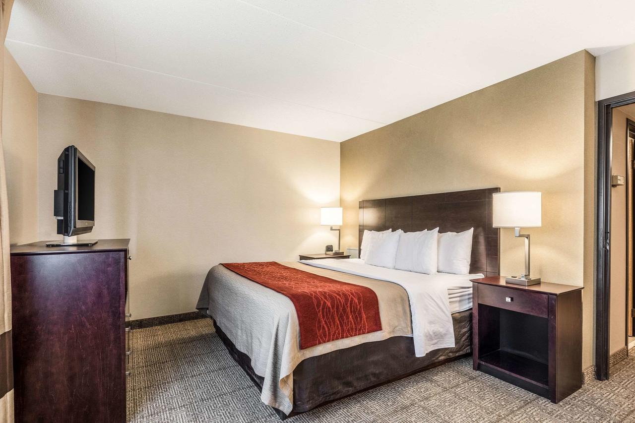 Comfort Inn Lansing - thumb 20