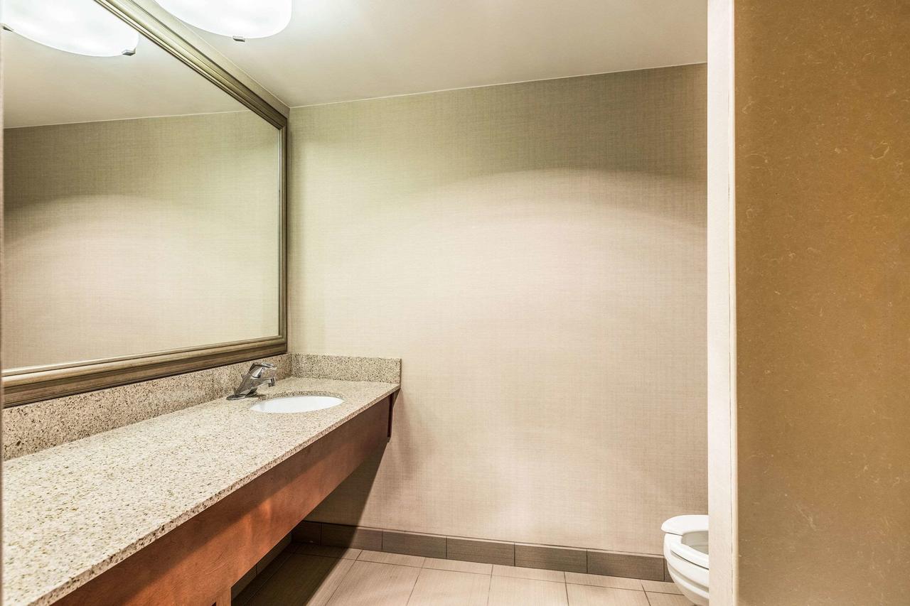 Comfort Inn Lansing - thumb 18