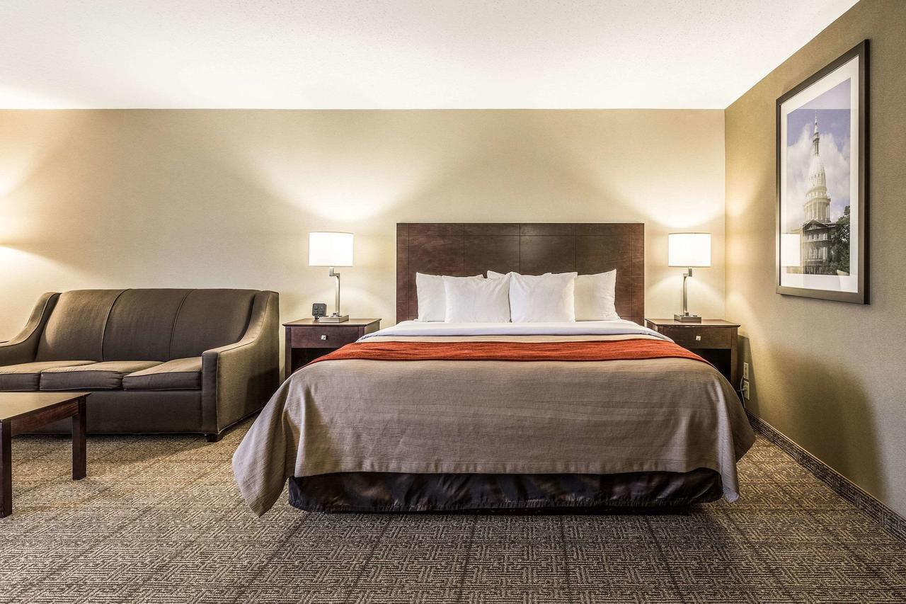 Comfort Inn Lansing - thumb 6