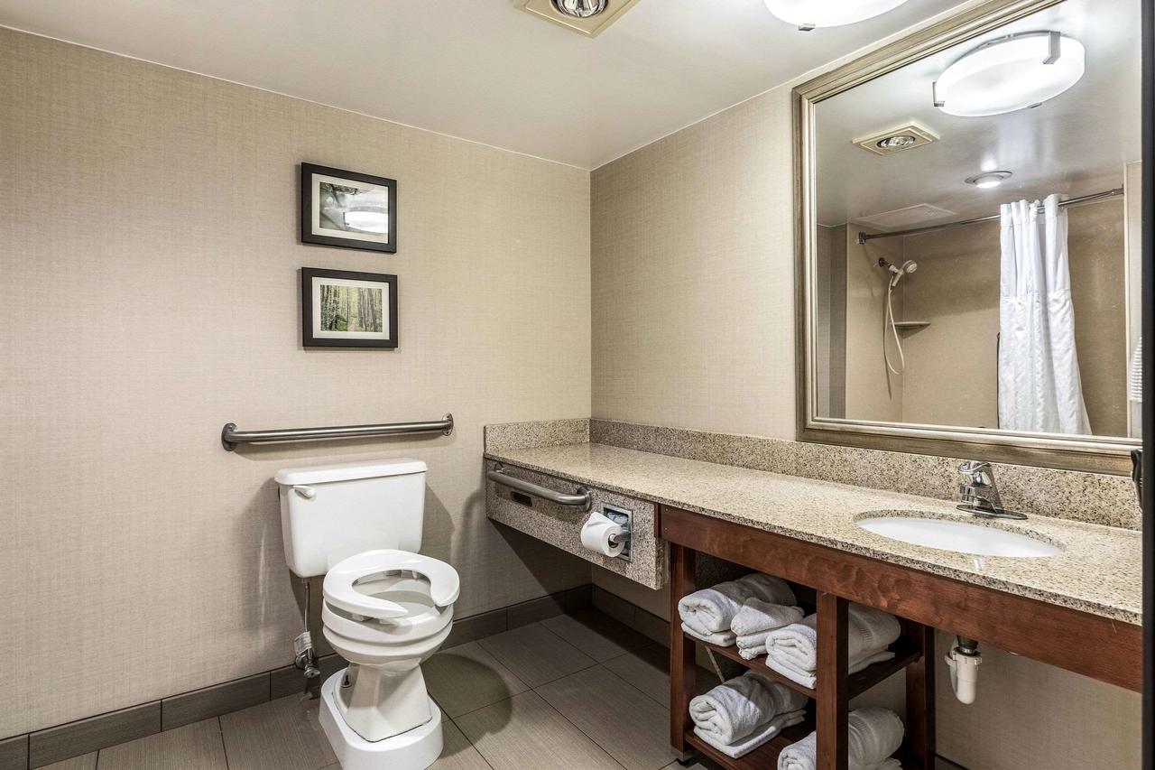 Comfort Inn Lansing - thumb 28