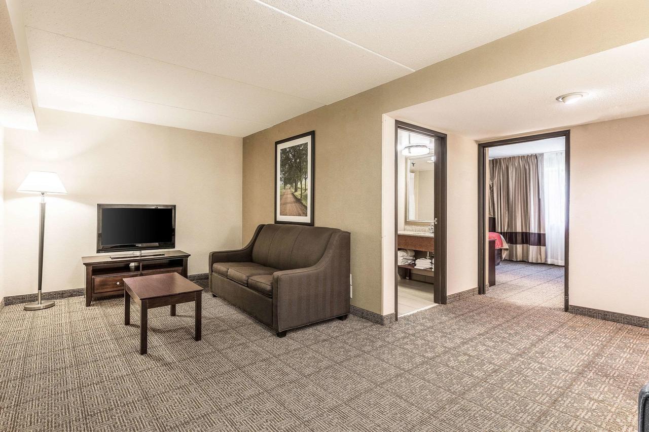 Comfort Inn Lansing - thumb 22